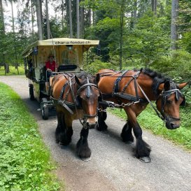 Fondue in a horse-drawn carriage