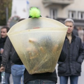 Freiwillige Anmeldung