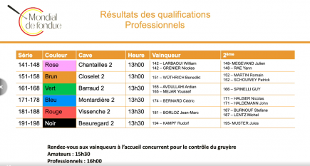 Résultats des qualifications Professionnels