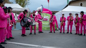 18.11.2023 Animations